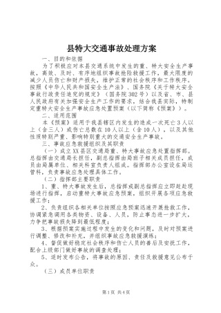 县特大交通事故处理方案