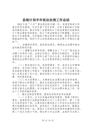 县统计局半年依法治理工作总结