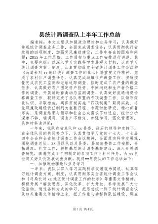 县统计局调查队上半年工作总结