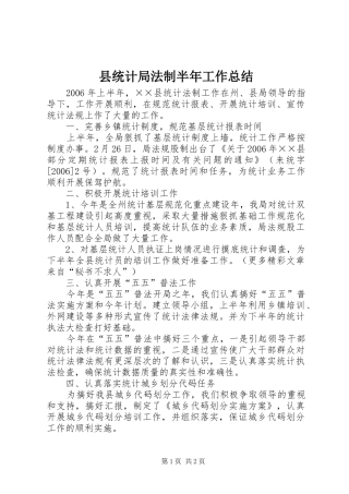 县统计局法制半年工作总结