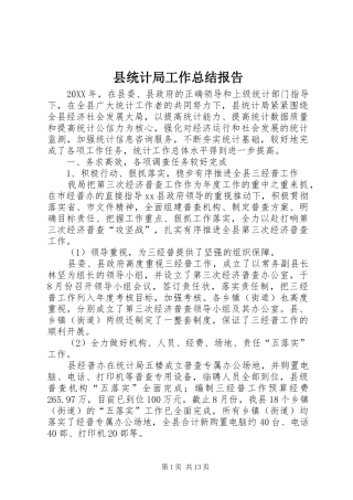 县统计局工作总结报告