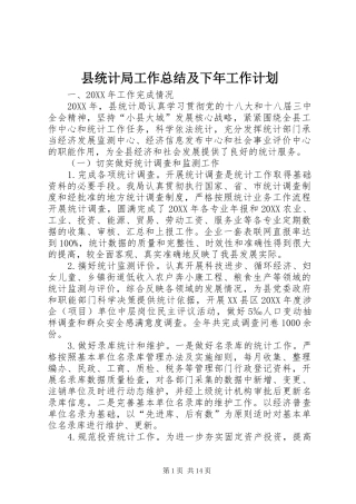 县统计局工作总结及下年工作计划