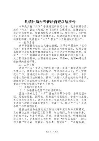 县统计局六五普法自查总结报告