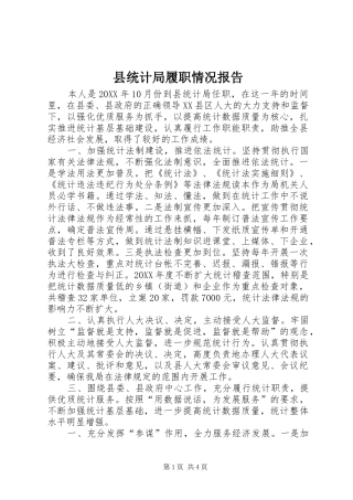 县统计局履职情况报告