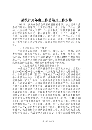 县统计局年度工作总结及工作安排