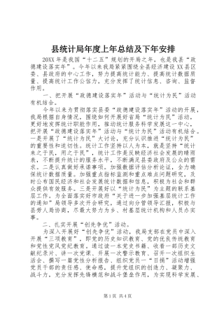 县统计局年度上年总结及下年安排