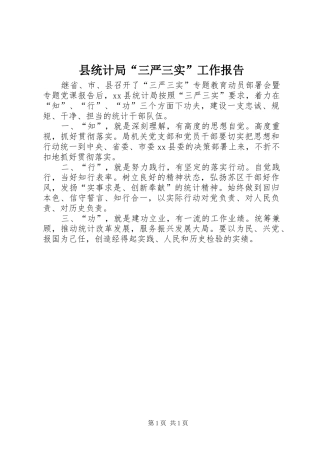 县统计局三严三实工作报告