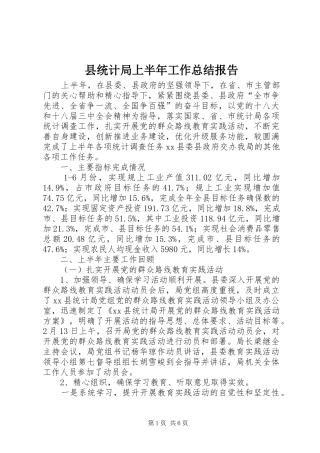 县统计局上半年工作总结报告