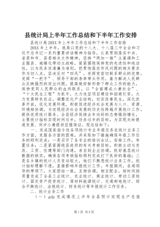 县统计局上半年工作总结和下半年工作安排