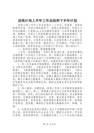 县统计局上半年工作总结和下半年计划