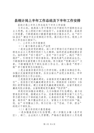 县统计局上半年工作总结及下半年工作安排