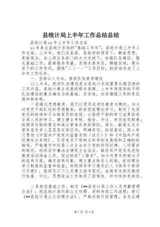 县统计局上半年工作总结总结