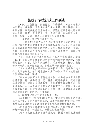 县统计依法行政工作要点