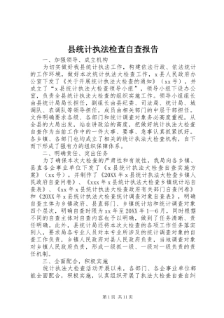 县统计执法检查自查报告