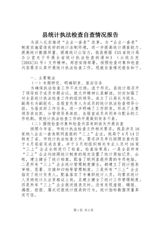 县统计执法检查自查情况报告