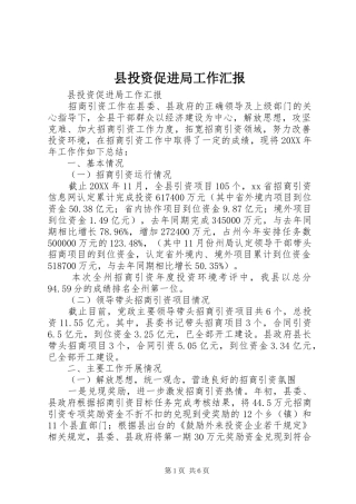 县投资促进局工作汇报