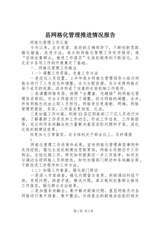 县网格化管理推进情况报告