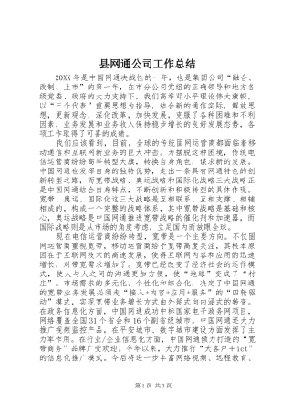 县网通公司工作总结