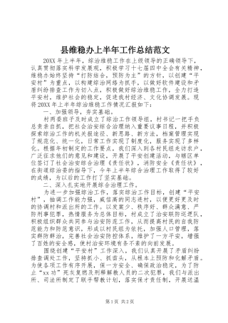 县维稳办上半年工作总结范文