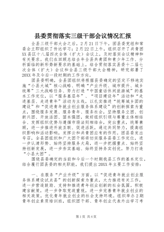 县委贯彻落实三级干部会议情况汇报