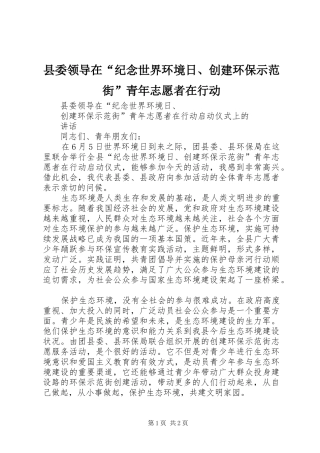 县委领导在纪念世界环境日创建环保示范街青年志愿者在行动