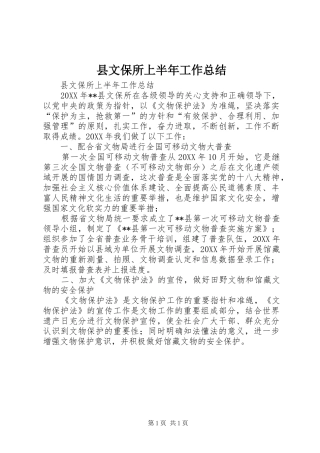 县文保所上半年工作总结