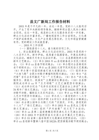 县文广新局工作报告材料