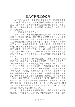 县文广新局工作总结
