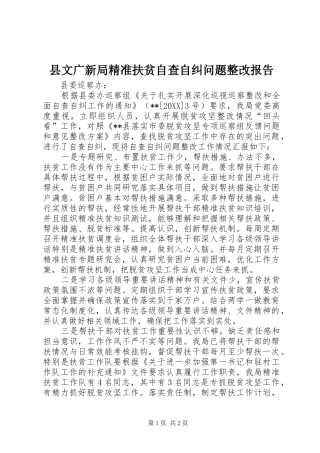 县文广新局精准扶贫自查自纠问题整改报告
