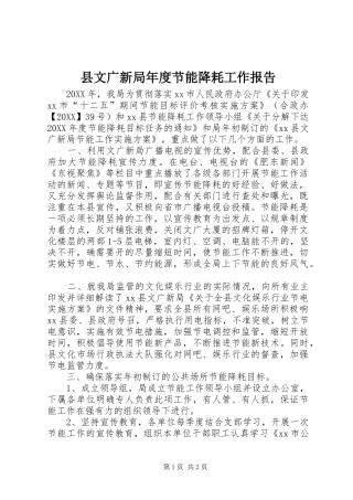 县文广新局年度节能降耗工作报告