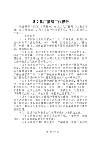 县文化广播局工作报告