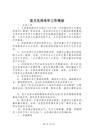 县文化局本年工作规划