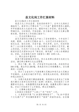 县文化局工作汇报材料