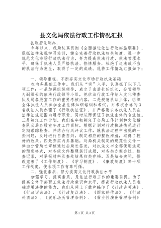 县文化局依法行政工作情况汇报