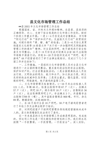 县文化市场管理工作总结