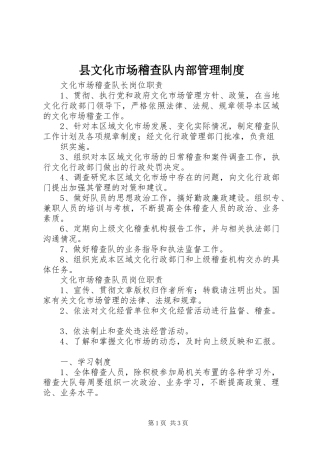 县文化市场稽查队内部管理制度