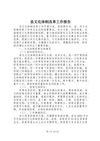 县文化体制改革工作报告