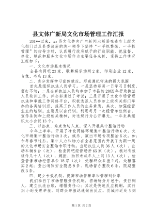 县文体广新局文化市场管理工作汇报