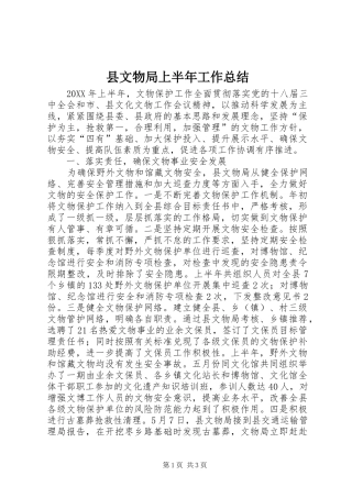 县文物局上半年工作总结