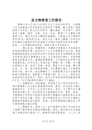 县文物普查工作报告