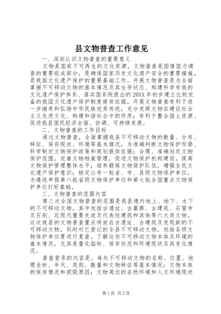 县文物普查工作意见