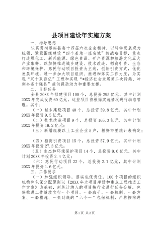 县项目建设年实施方案