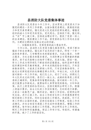 县消防大队党委集体事迹