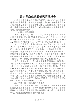 县小微企业发展情况调研报告