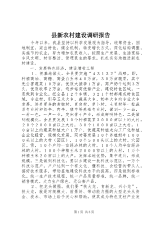 县新农村建设调研报告