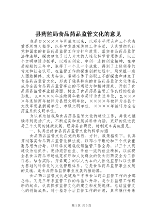县药监局食品药品监管文化的意见