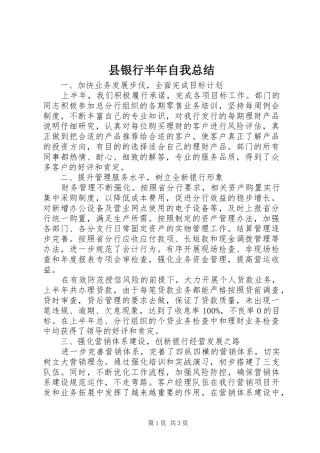 县银行半年自我总结