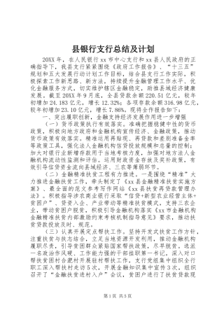 县银行支行总结及计划