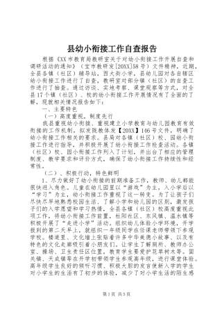 县幼小衔接工作自查报告