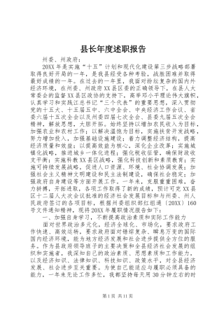 县长年度述职报告